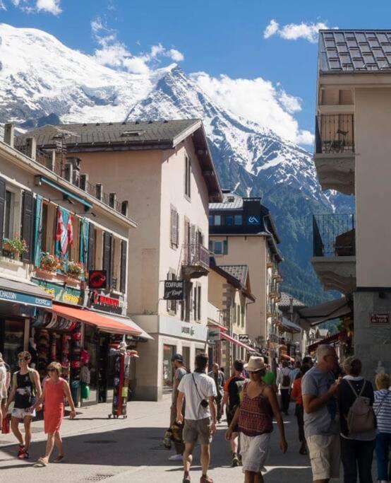 Super Appartement Cocooning Vu Mont Blanc Sallanches Kültér fotó