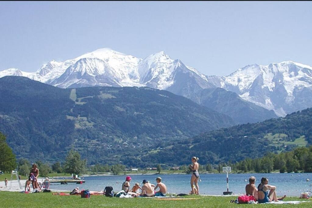 Super Appartement Cocooning Vu Mont Blanc Sallanches Kültér fotó