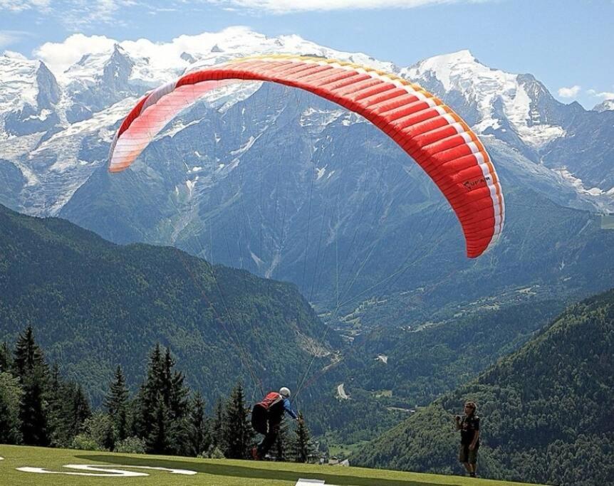 Super Appartement Cocooning Vu Mont Blanc Sallanches Kültér fotó
